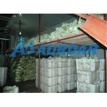 Changzhou Storage Room/Modular Cold Storage Room/Meat Freezer Storage Room